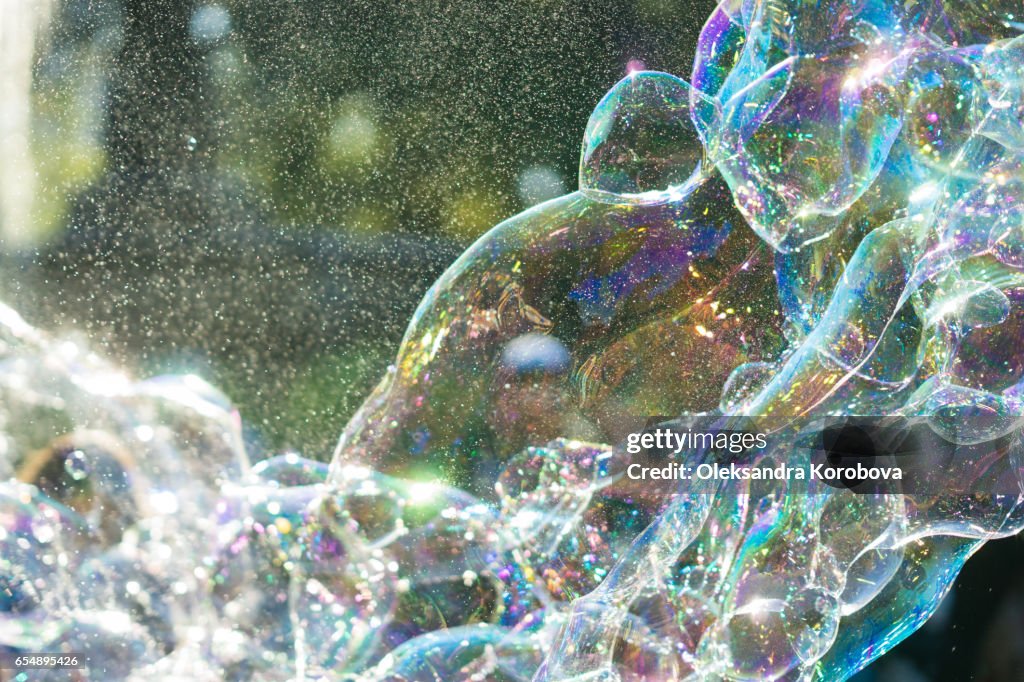 Giant rainbow soap bubbles floating in the summer air during a beautiful sunny day.