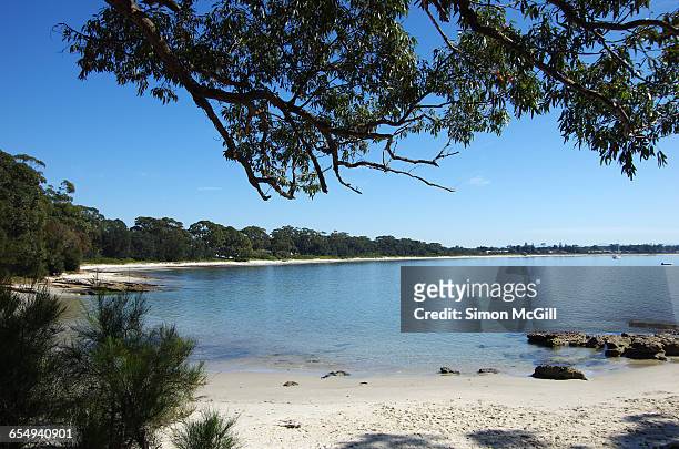 summer beach time! - shoalhaven stock pictures, royalty-free photos & images