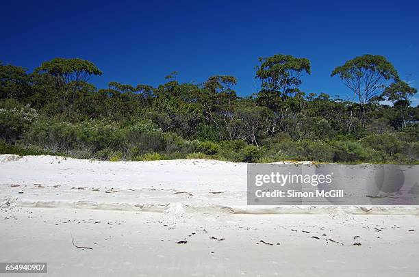 summer beach time! - shoalhaven stock pictures, royalty-free photos & images