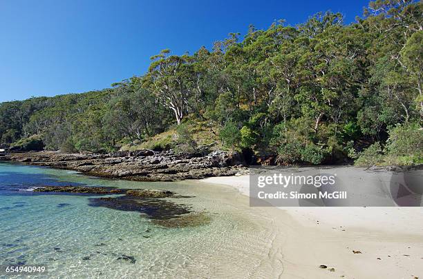 summer beach time! - shoalhaven stock pictures, royalty-free photos & images