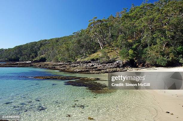 summer beach time! - shoalhaven stock pictures, royalty-free photos & images