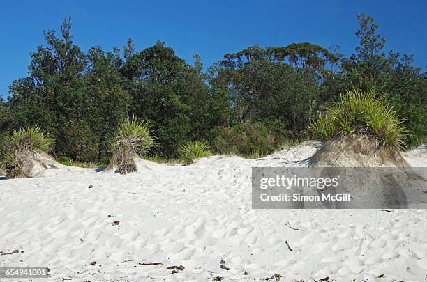 summer beach time! - shoalhaven stock pictures, royalty-free photos & images