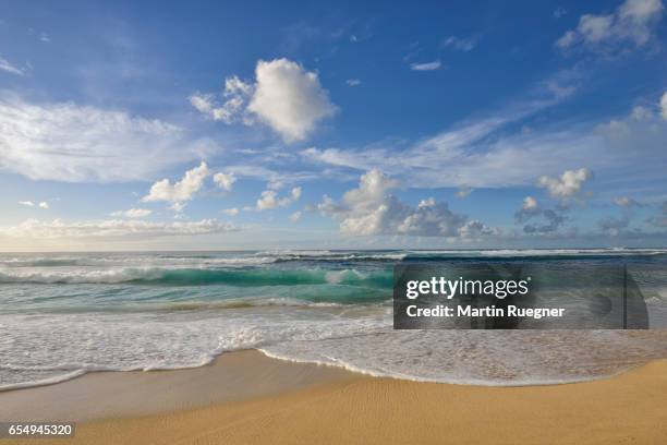 surf on sandy beach. - sunset beach fotografías e imágenes de stock