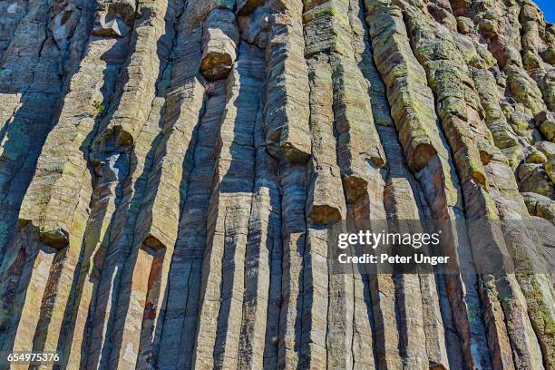 devils tower national monument,wyoming,usa - basalt column stockfoto's en -beelden