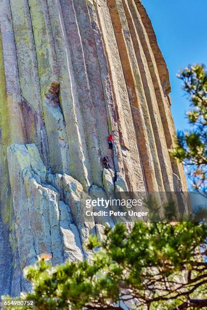 devils tower national monument,wyoming,usa - devils tower stock pictures, royalty-free photos & images