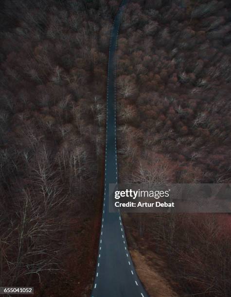 beautiful surreal road between winter beech forest made in a mountain nature reserve, using panorama technique from a drone changing perspective of the landscape and creating a mind blowing effect. - perspektivenwechsel stock-fotos und bilder