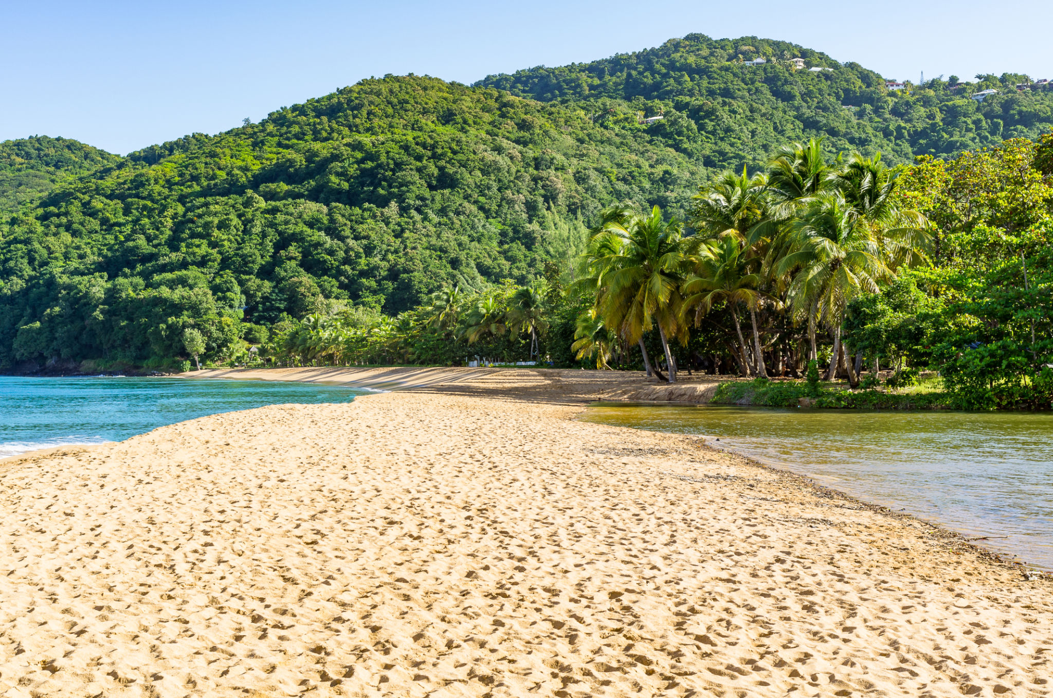 guadeloupe healing