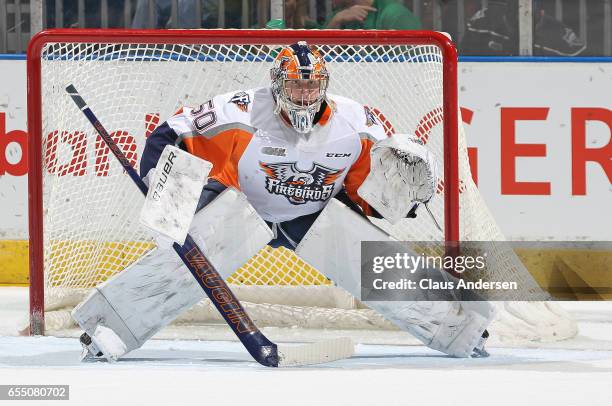 Connor Hicks of the Flint Firebirds gets set to face a shot against the London Knights during an OHL game at Budweiser Gardens on March 17, 2017 in...