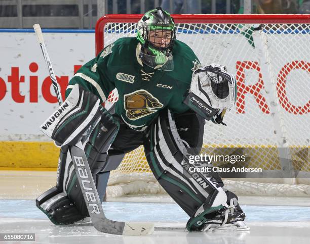 Tyler Parsons of the London Knights gets set to face a shot against the Flint Firebirds during an OHL game at Budweiser Gardens on March 17, 2017 in...