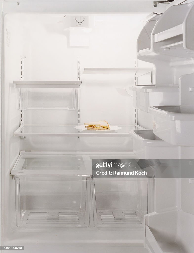 Sandwich in Empty Refrigerator