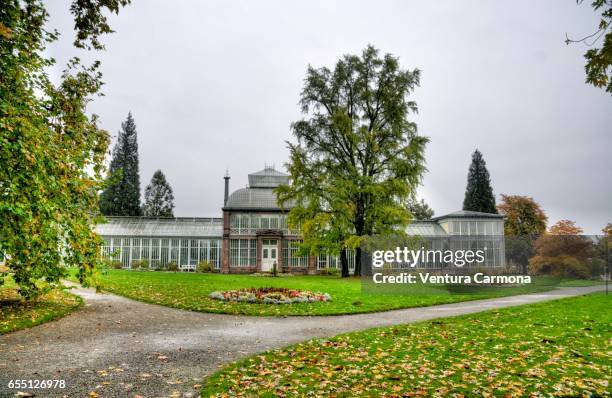 greenhouse - wilhelmshöhe mountain park in kassel, germany - kassel stock-fotos und bilder