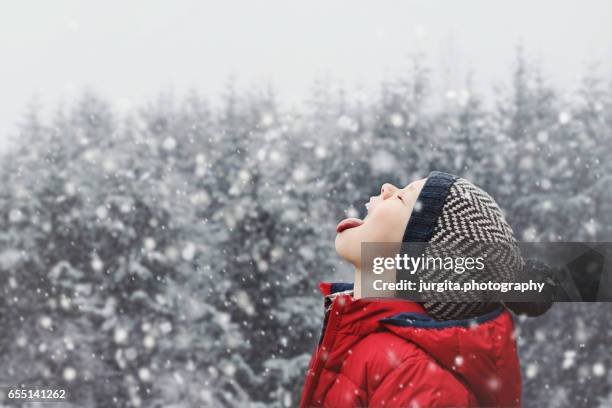 little kid catching snowflakes with his tongue - kids playing snow stock-fotos und bilder