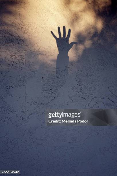 shadow of a hand reaching up - schattenspielfigur stock-fotos und bilder