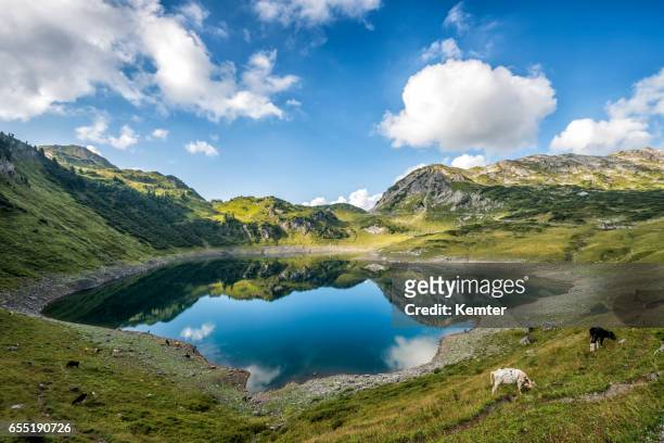 landscape with lake in the austrian mountains - vorarlberg imagens e fotografias de stock