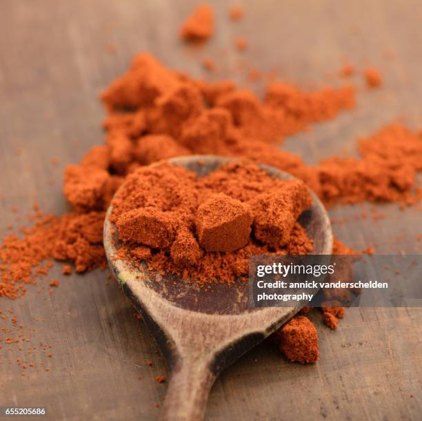 paprika powder on wooden spoon. - ungarn stock-fotos und bilder