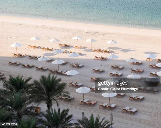 empty sun loungers and parasols on a beach early in the morning, taken from a high view. - sandsun stock-fotos und bilder