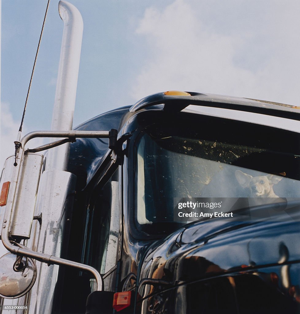 Dog in Truck Cab
