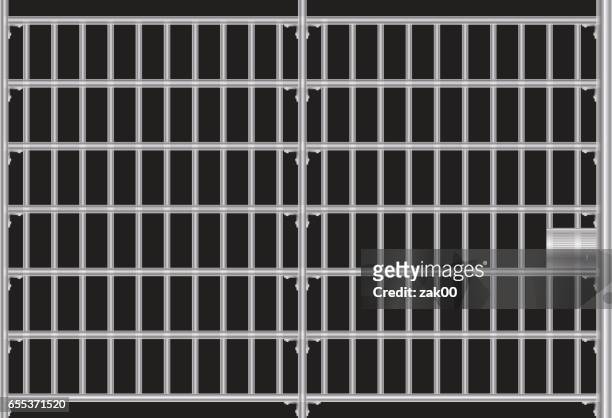 164 Prison Bars High Res Illustrations - Getty Images