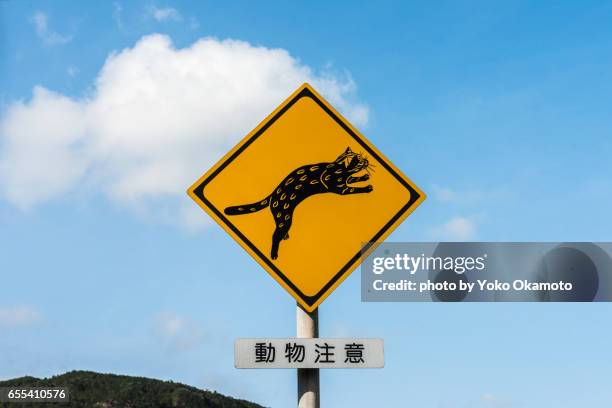 iriomote cat (endangered species) road sign - insel iriomote stock-fotos und bilder