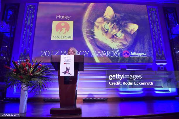 West Hollywood Mayor Lauren Meister speaks onstage at The Tailwaggers Foundation, 2017 Waggy Awards at Taglyan Cultural Complex on March 19, 2017 in...