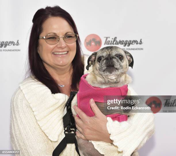 Pug Nation Rescue's Bella the Pug arrives at The Tailwaggers Foundation, 2017 Waggy Awards at Taglyan Cultural Complex on March 19, 2017 in...