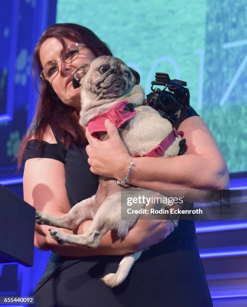 Pug Nation Rescue's Bella the Pug onstage at The Tailwaggers Foundation, 2017 Waggy Awards at Taglyan Cultural Complex on March 19, 2017 in...