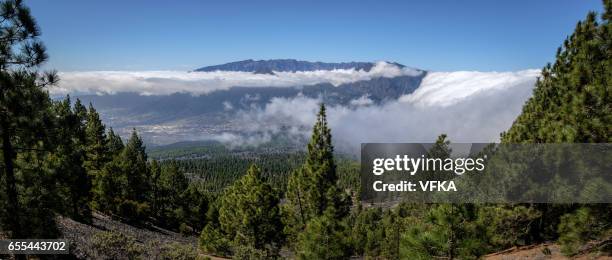 cloud waterfall over cumbre nueva, la palma, spain - caldera stock pictures, royalty-free photos & images