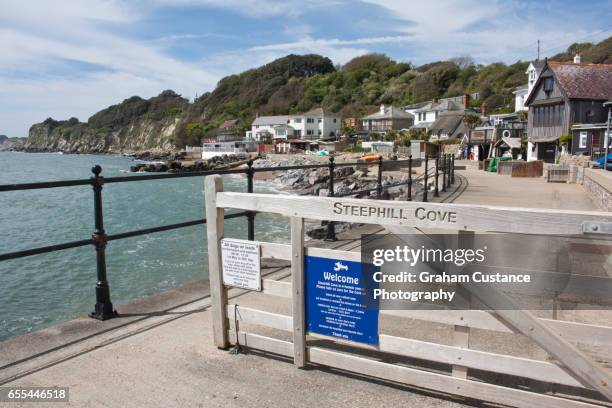 steephill cove, isle of wight - isle of wight village stock pictures, royalty-free photos & images