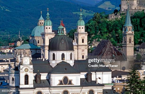 collegiate church and cathedral - catedral de salzburgo imagens e fotografias de stock