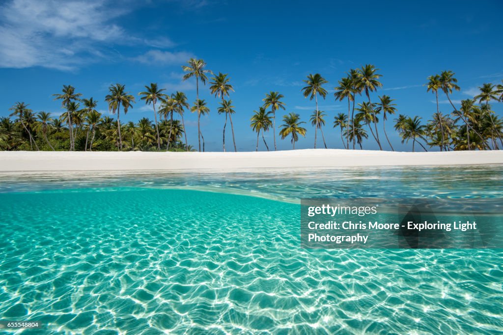 Paradise