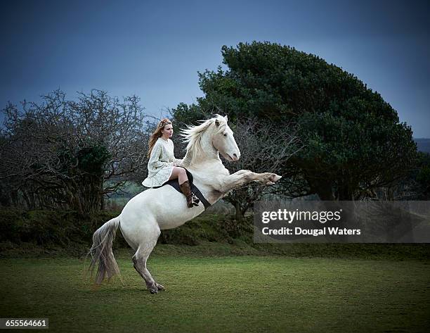 horse and rider rear up in countryside. - elegant horse stock pictures, royalty-free photos & images