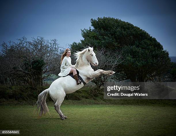 horse and rider rear up in countryside. - horse rearing up stock pictures, royalty-free photos & images