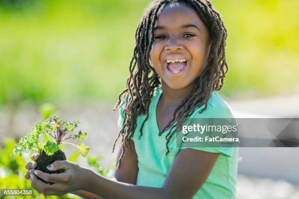 child planting in the garden - green fingers stock pictures, royalty-free photos & images