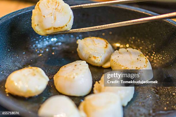 scallops - conchiglia di san giacomo foto e immagini stock