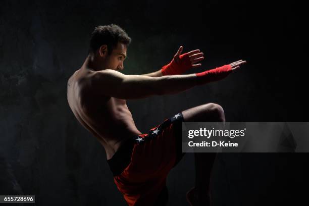 martial arts - muaythai boxing stock pictures, royalty-free photos & images