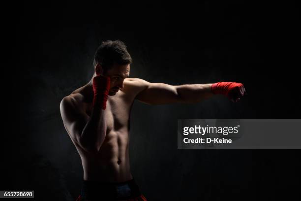 martial arts - mixed martial arts stock pictures, royalty-free photos & images