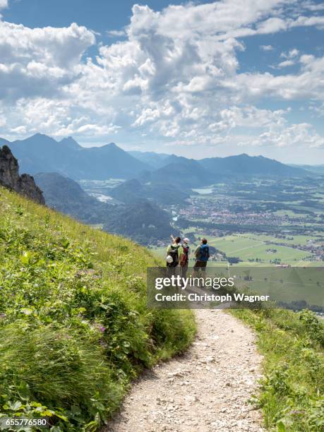 bavaria alps - allgäu - aussichtspunkt 個照片及圖片檔