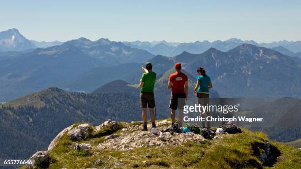 bavaria alps - benediktenwand - sorglos stock pictures, royalty-free photos & images