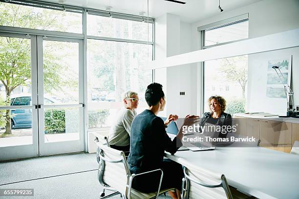 businesswoman presenting project ideas - scrutiny stock pictures, royalty-free photos & images