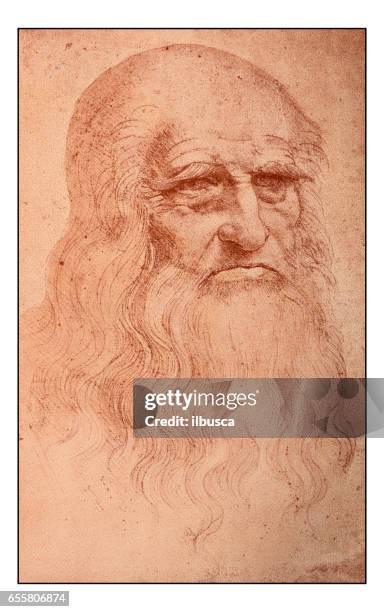 ilustraciones, imágenes clip art, dibujos animados e iconos de stock de bocetos y dibujos de leonardo: auto retrato - leonardo da vinci