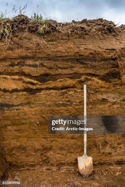 shovel by layers of earth, iceland - tiered stockfoto's en -beelden