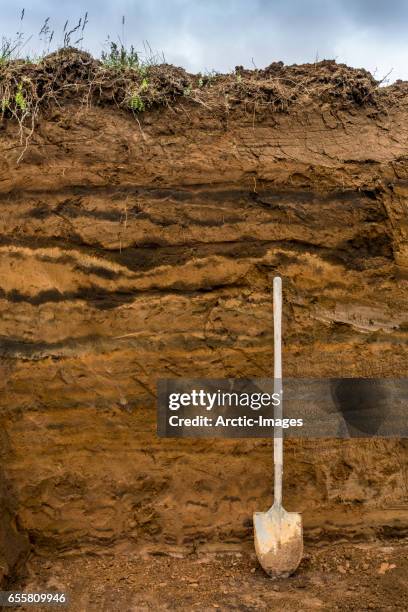 shovel by layers of earth, iceland - soil layers stock pictures, royalty-free photos & images
