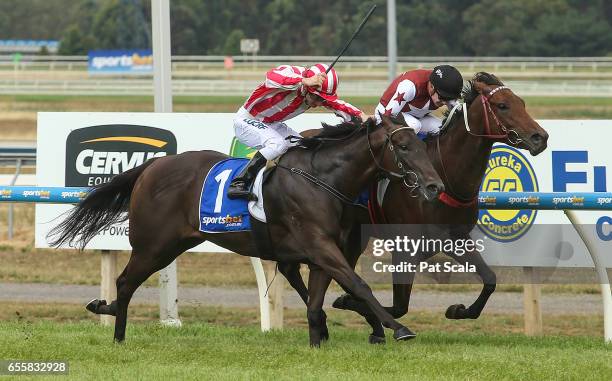 Carterista ridden by Thomas Sadler wins the Adroit F&M Maiden Plate at Sportsbet-Ballarat Racecourse on March 21, 2017 in Ballarat, Australia.