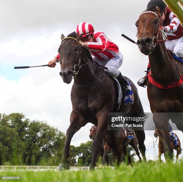 Carterista ridden by Thomas Sadler wins the Adroit F&M Maiden Plate at Sportsbet-Ballarat Racecourse on March 21, 2017 in Ballarat, Australia.