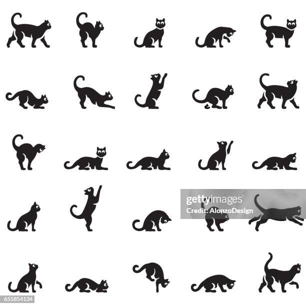 katzen-körpersprache - cat icon stock-grafiken, -clipart, -cartoons und -symbole