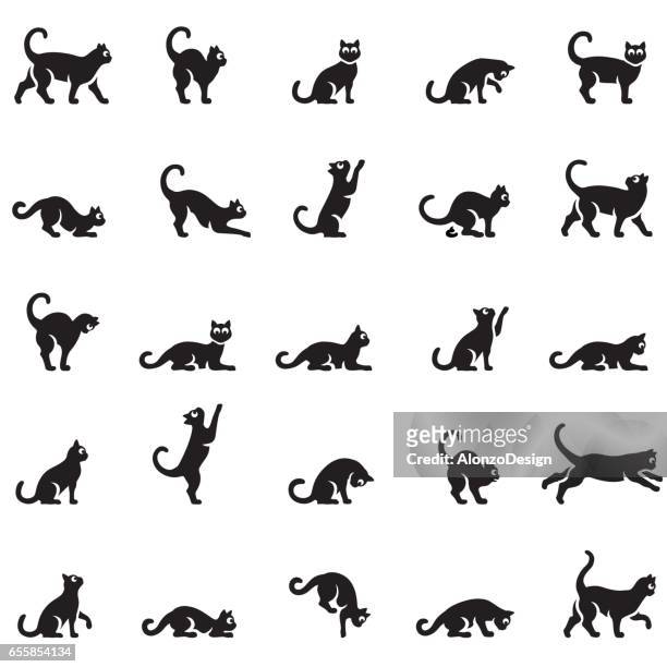 illustrazioni stock, clip art, cartoni animati e icone di tendenza di linguaggio del corpo dei gatti - black and white cat