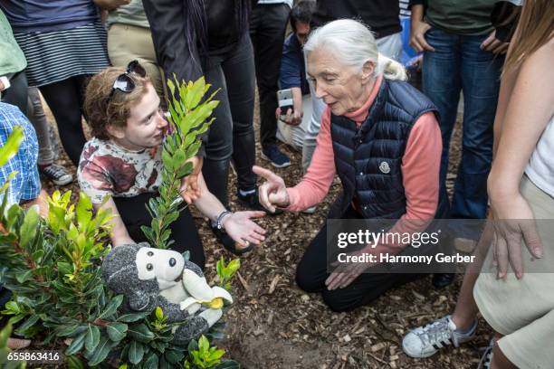 Dr. Jane Goodall plants a tree with students at the Environmental Charter High School on March 20, 2017 in Lawndale, California.