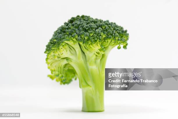 broccoli head on white background - broccoli stock pictures, royalty-free photos & images