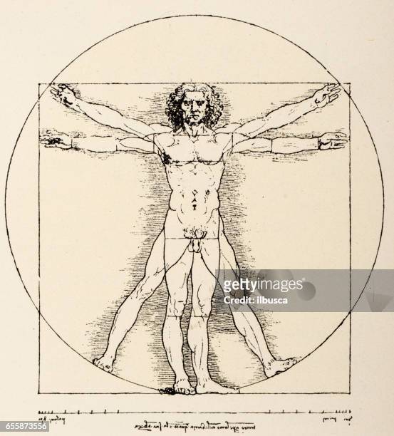 skizzen und zeichnungen von leonardo da vinci: vitruvian mann - anatomy body stock-grafiken, -clipart, -cartoons und -symbole