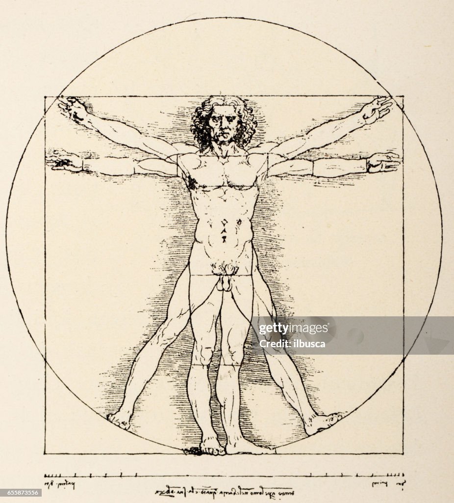 Leonardo's sketches and drawings: Vitruvian Man